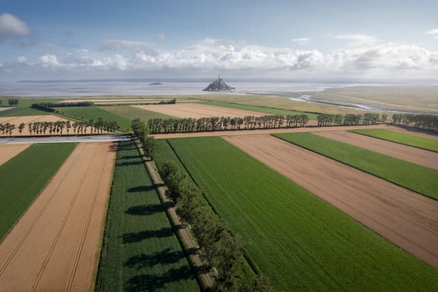 Paysage de parcelles agricoles publié par Agrial