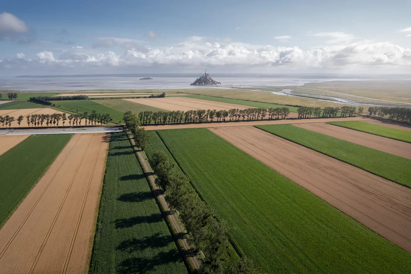Paysage de parcelles agricoles publié par Agrial