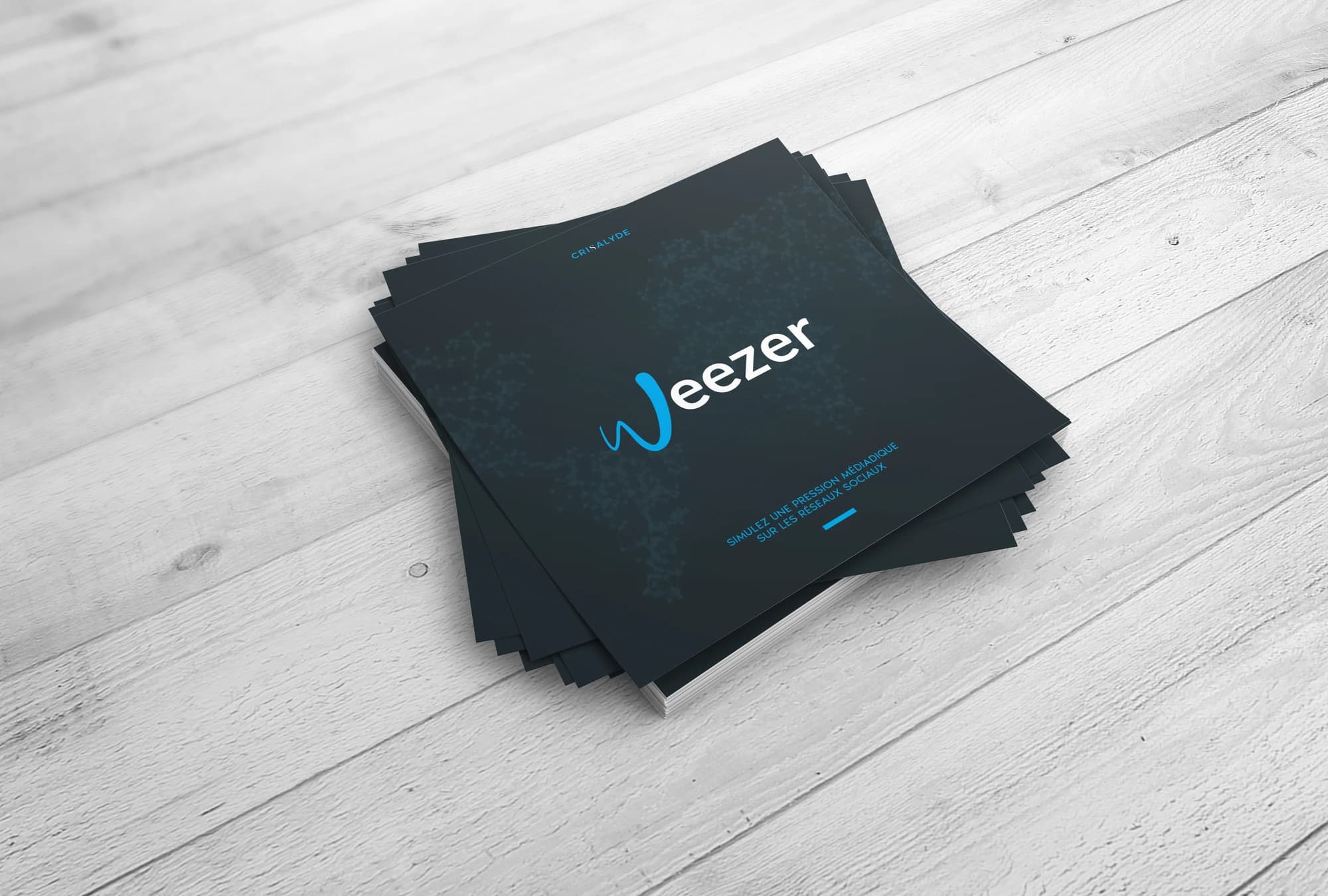 Brochure originale Weezer, outil de simulation de Crisalyde