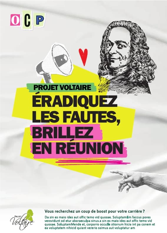 Projet Voltaire : Éradiquez les fautes, brillez en réunion